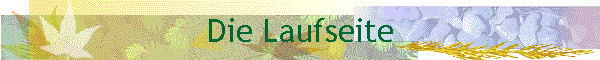 Die Laufseite
