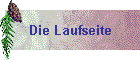 Die Laufseite